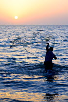 Fisherman throwing net into the sea in traditional way at sunset, Orango Island, Bijagos UNESCO Biosphere Reserve, Guinea Bissau, February 2015.