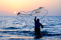 Fisherman throwing net into the sea in traditional way at sunset, Orango Island, Bijagos UNESCO Biosphere Reserve, Guinea Bissau, February 2015.