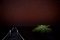 Starry night over Atlantic Ocean, from a wooden pier with Mangrove tree beside it, Orango Island, Bijagos UNESCO Biosphere Reserve, Guinea Bissau, February 2015.