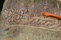 Petroglyphs of Walpaulban with human hand for scale, Rio Platano Biosphere Reserve and UNESCO World Heritage Site, La Mosquitia, Honduras
