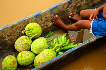 Canoe with fruits on the Platano river. Rio Platano Biosphere Reserve and UNESCO World Heritage Site, La Mosquitia, Honduras