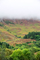 Rain cloud forming thick fog descending from steep hillside of Bidean nam Bian in Glen Coe, Argyll, Scottish Highlands, Scotland, UK, September 2016.