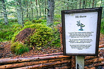 Information / conservation sign about Red wood ants / Horse ant  (Formica rufa) nests made of conifer needles,  Abernethy Forest, Scotland, September