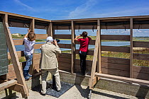 Grandfather with two children watching birds from hide in the Zwin Nature Park, bird sanctuary at Knokke-Heist, West Flanders, Belgium, July 2016