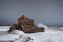 Waves crashing against Vauban's Fort Mahon at Ambleteuse during winter storm along the North Sea coast, Côte d'Opale / Opal Coast, France. January 2017