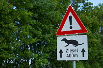 European ground squirrel / European souslik (Spermophilus citellus) road traffic warning sign, Gerasdorf, Austria.