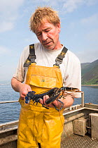 Fisherman measuring a Common lobster (Homarus gammarus) to ensure it is over the minimum landing size, Lamlash Bay, South Arran Marine Protected Area, Isle of Arran, Scotland, UK, August 2016