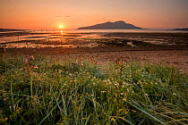 Sunrise over Lamlash Bay and the no take zone, South Arran Marine Protected Area, Isle of Arran, Scotland, UK, August.
