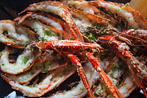 Meal of langoustine / Norway lobster (Nephrops norvegicus) in a restaurant on Island of Arran, caught in Lamlash Bay, South Arran Marine Protected Area, Scotland, UK, August 2016.