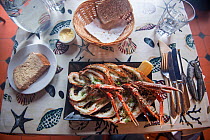 Meal of langoustine / Norway lobster (Nephrops norvegicus) in a restaurant on Isle of Arran, caught in Lamlash Bay, South Arran Marine Protected Area, Scotland, UK, August 2016.