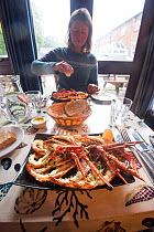 Woman eating langoustine / Norway lobster (Nephrops norvegicus) in a restaurant on Isle of Arran, caught in Lamlash Bay, South Arran Marine Protected Area, Scotland, UK, August 2016.