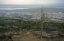 Polluted land with dead trees near Norilsk, a large industrial town above the Arctic Circle which produces Nickle, Palladium, Copper, Cobalt etc. and is the largest stationary source of air pollution...
