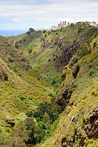 Moya village, perched on clifftop above Moya ravine, Doramas Rural Park, Gran Canaria, Canary Islands, June 2016.