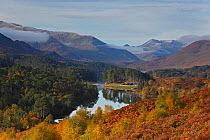 Glen Affric in autumn, Highlands, Scotland, UK, October 2012.