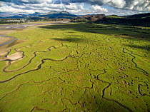 Aerial view of saltmarsh with small meandering drainage tributaries. River Dwyryd estuary, village of Portmeirion and Snowdonia in background, Glastraeth, Talsarnau, Gwynedd, Wales, UK, October 2016.