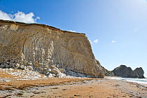Vertical beds of Cretaceous chalk, with layers of flint and rotated normal faults, Jurrasic Coast, near Durdle Door, Dorset, England, UK.