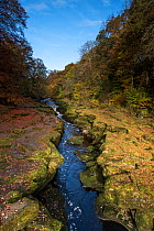 River Wharfe running through The Stid, a narrow, deep cleft in rock, Bolton Abbey, Yorkshire, England, UK, November 2016.