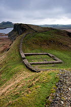 Hadrian's Wall between Steel Rigg and Housesteads on The Whin Sill, a layer of hard intrusive, volcanic Dolerite naturally forming high ground, Northumberland, England, UK, March 2017.