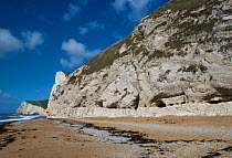 Rotated normal fault in Cretaceous chalk with erosion, small caves at base. Chalk beds vertical and parallel with the cliff, Durdle Door, Jurassic Coast, Dorset, England, April 2012.
