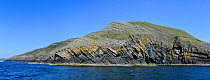Sea cliffs, geological section through Cambrian and Ordovician sedimentary rocks with faulted monocline fold structure. Rocks include Nant-pig Musdstones, Abersoch, Gwynedd,  Wales, UK