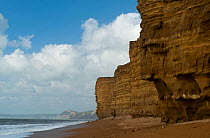 Cliffs of Bridport sandstone, variably cemented, Jurrasic Coast, Burton Bradstock, Dorset, England, UK, August 2012.