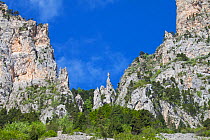 Limestone ridge, Valley de Combeau, Vercors Regional Natural Park Vercors, France, June 2016.