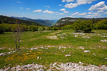 View from Montagne de Beurre towards St Angnan-en-Vercors Vercors Regional Natural Park, France, May.