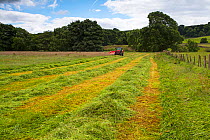 Farmer cutting the hay, Askrigg Bottoms Meadow, Askrigg, Wensleydale, Yorkshire Dales National Park, Yorkshire, England, UK July.