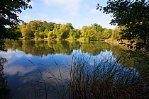 Lake at Swanwick Lakes, Hampshire and Isle of Wight Wildlife Trust Reserve, Swanwick Hampshire, England, UK, October.