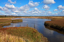 Farlington Marshes Hampshire and Isle of Wight Wildlife Trust Reserve, Hampshire, England, UK, October.