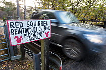 Warning sign for drivers  drivers about  red squirrels crossing road, Shieldaig, Wester Ross, Scotland, UK.