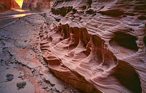 Navajo sandstone canyon walls eroded and sculpted by Paria River floods, Paria Canyon,  Vermilion Cliffs National Monument,  Arizona, USA.