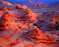 Eroded sandstone petrified sand dune formations at sunrise, Vermilion Cliffs National Monument, Arizona. USA.