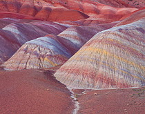Eroded Chinle shale mounds with colour bands, beneath the Paria Plateau, Vermilion Cliffs National Monument, Paria Canyon Vermilion, Arizona, USA.