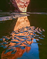 Narrows with canyon wall reflections in mud patterned shore, Vermilion Cliffs National Monument, Paria Canyon Wilderness, Arizona, USA.