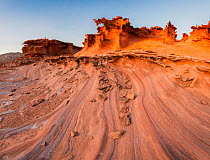 Eroded salt laden sandstone 'fins' in incredible sculpted forms comprise an area know as 'Little Finland.' Gold Butte National Monument, Nevada, USA. President Barack Obama designated the monument on...