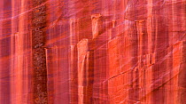 Patterns in sandstone cliffs in Grand Staircase-Escalante National Monument, Utah, USA, October 2014.