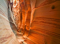 Banded Navajo Sandstone slot canyon in the Escalante Canyon complex. Grand Staircase-Escalante National Monument, Utah, USA.