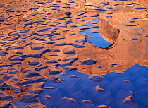 Stevens Arch reflected in the amid sand bar ripples Escalante Canyon, Canyon National Recreation Area, Utah, USA