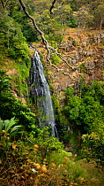 Morans Falls, Green Mountains, Lamington National Park, Rainforests of Australia UNESCO World Heritage Site, Queensland, Australia.