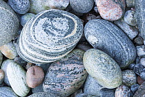 Close up of pebbles on beach, Scotland, UK, October.