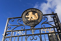 MacPherson clan motto on gate, with reference to Scottish wildcat (Felis silvestris), Scotland, UK, September 2016.