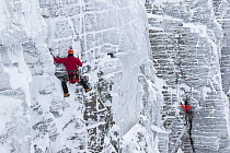 Climbers on vertical rock face in winter, Northern Corries, Cairngorms National Park, Scotland, UK, December 2015.