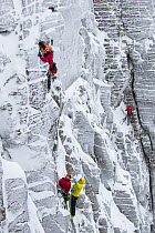 Climbers in red jackets on vertical rock face in winter, Northern Corries, Cairngorms National Park, Scotland, UK, December 2015.
