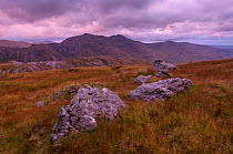 Rocks strewn across the 'Rough Bounds' of Knoydart / na Garbh-Chriochan. Looking towards Sgurr na h-Aide fom Sgurr Cos na Breachd-laoidh, Lochaber, Scotland, UK, October 2016.