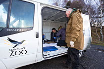 Conservationists and veterinarian from The Royal Zoological Society Scotland / RZSS taking measurements of a Scottish wildcat (Felis silvestris grampia). Inside RZSS mobile vet unit, Strathsprey, Cair...