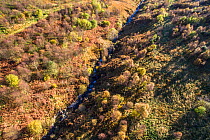 Carrifran, a 1600 acre ice carved valley, replanted to reverse environmental degradation. Part of Carrifran Wildwood, a replanting initiative led by the Borders Forest Trust, Moffat Hills, Scotland, U...