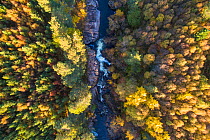 Falls of Truim running through autumnal woodland,  Cairngorms National Park, Scotland, UK, October 2016.