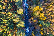 Falls of Truim running through autumnal woodland,  Cairngorms National Park, Scotland, UK, October 2016.