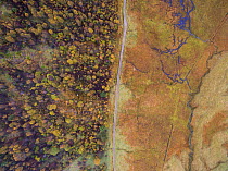 Aerial view of Deer fenced enclosure showing effects of grazing on forest growth, Glen Affric, Scotland, UK, October 2016.